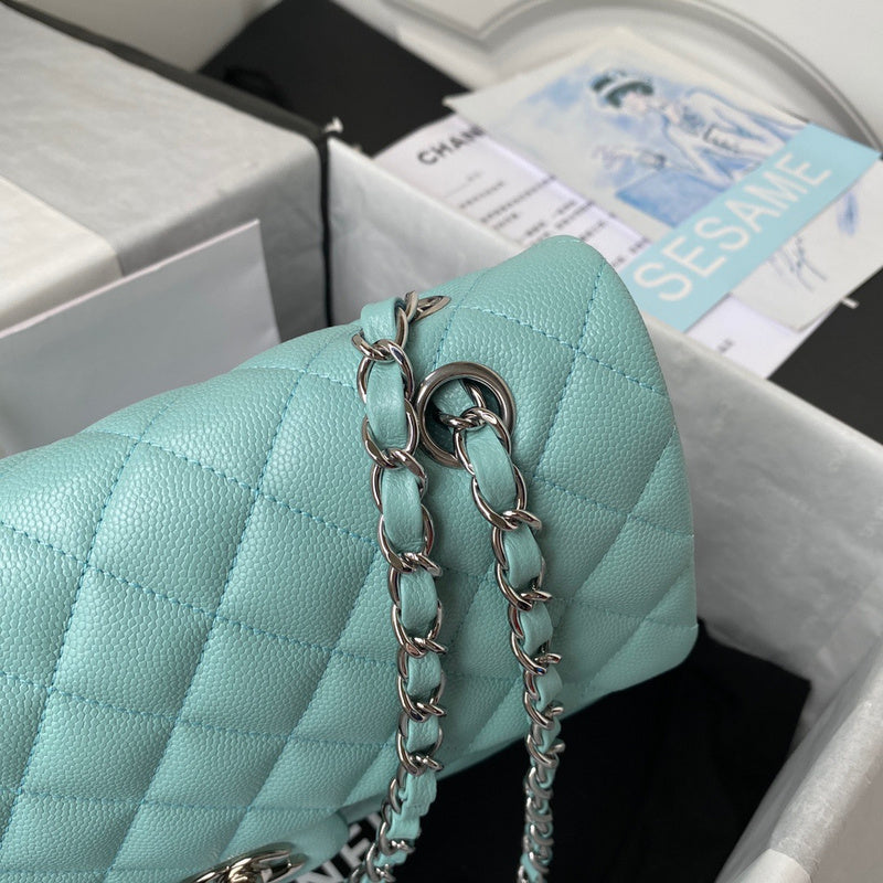 Amelia- CHL Bags - 6693
