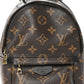 Louis Vuitton Monogram Palm Springs Backpack Mini