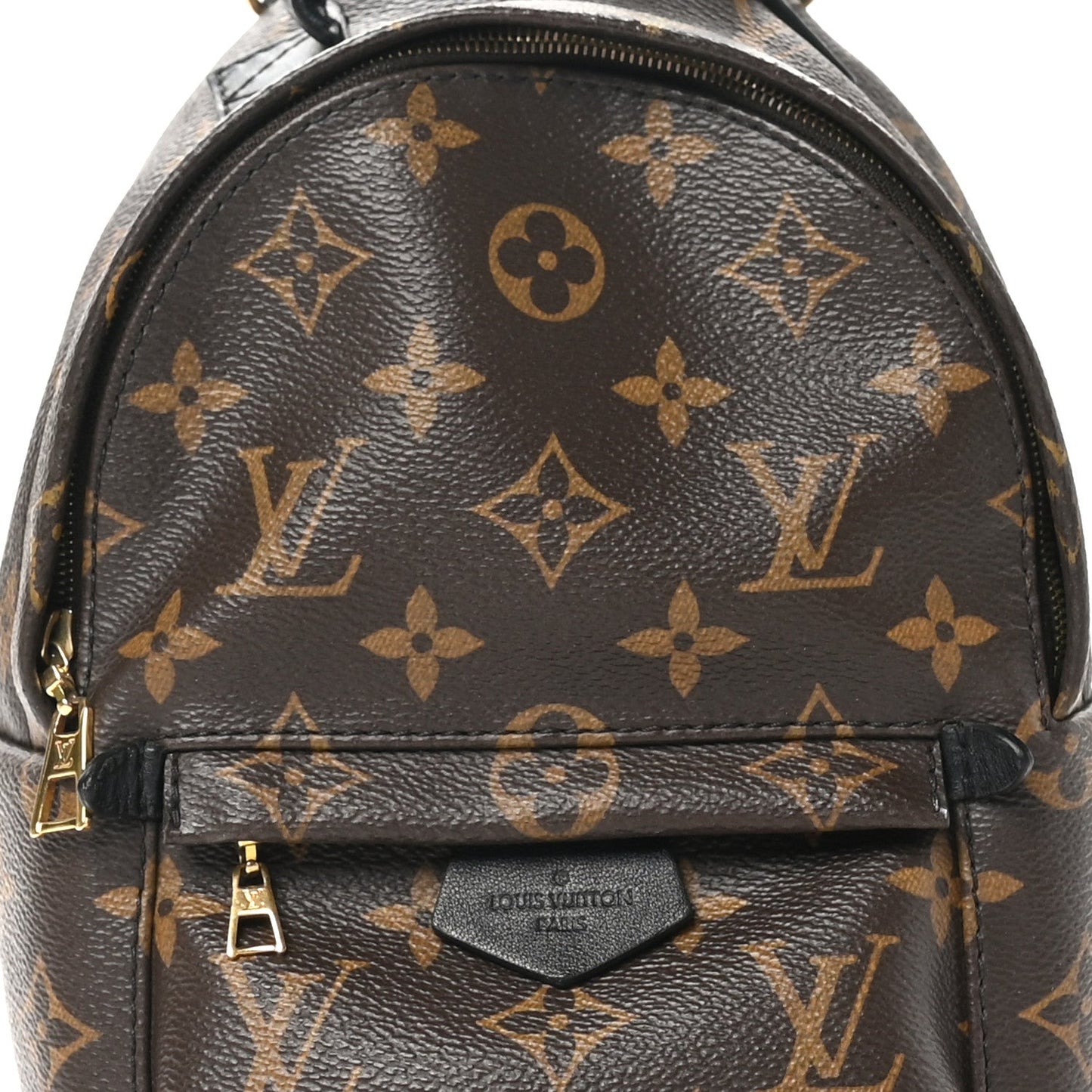 Louis Vuitton Monogram Palm Springs Backpack Mini