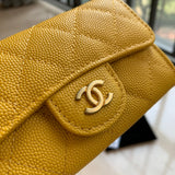 Amelia- CHL Bags - 6216