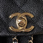 Amelia- CHL Bags - 7563