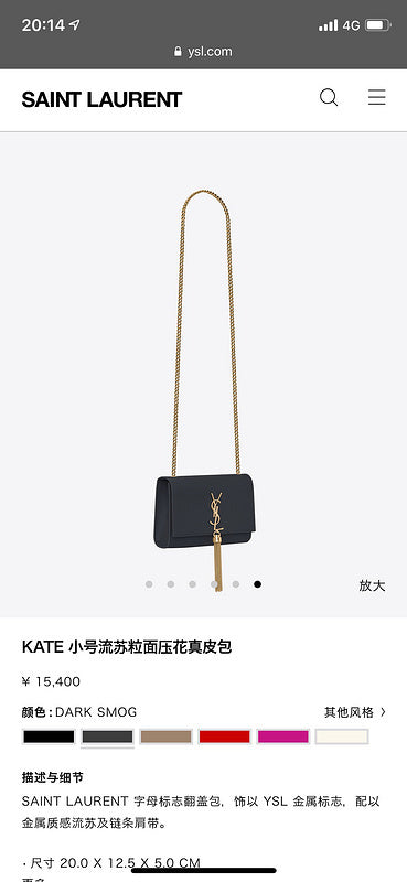 Amelia - YSL Bag - 3664