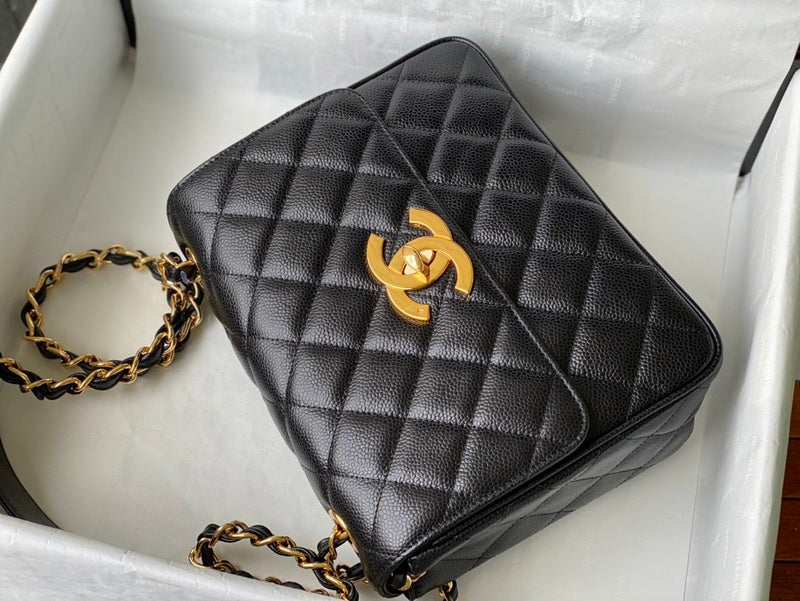 Amelia - CHL Lady Bags - 560