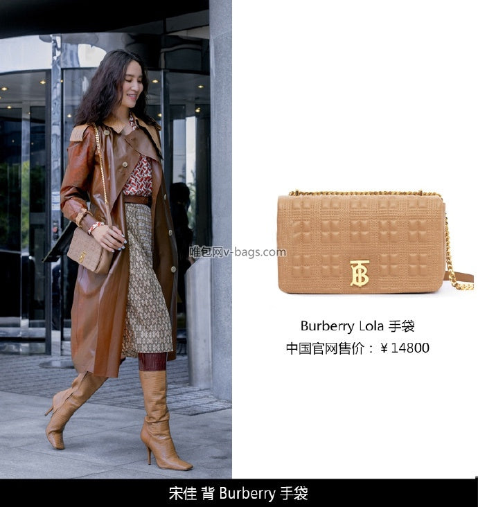 B-Berry Bags - Women Ameliave Luxury Bags - 538