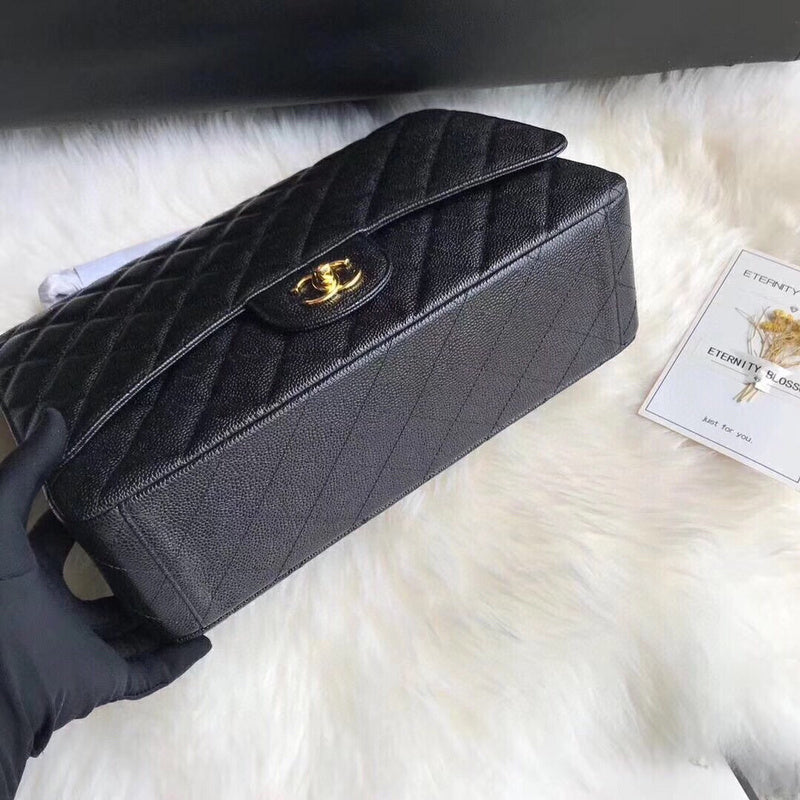 Amelia - CHL Bags - 2331