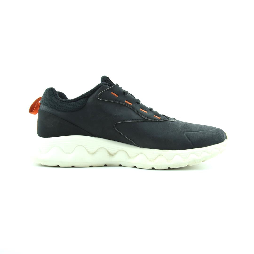 ANTA .