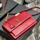 YSL BAGS - WOMEN LOVE LUXURY BAGS - 307