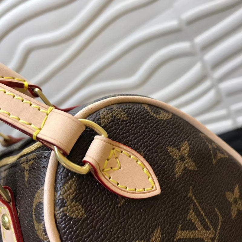 Amelia - LV Bags - 13886