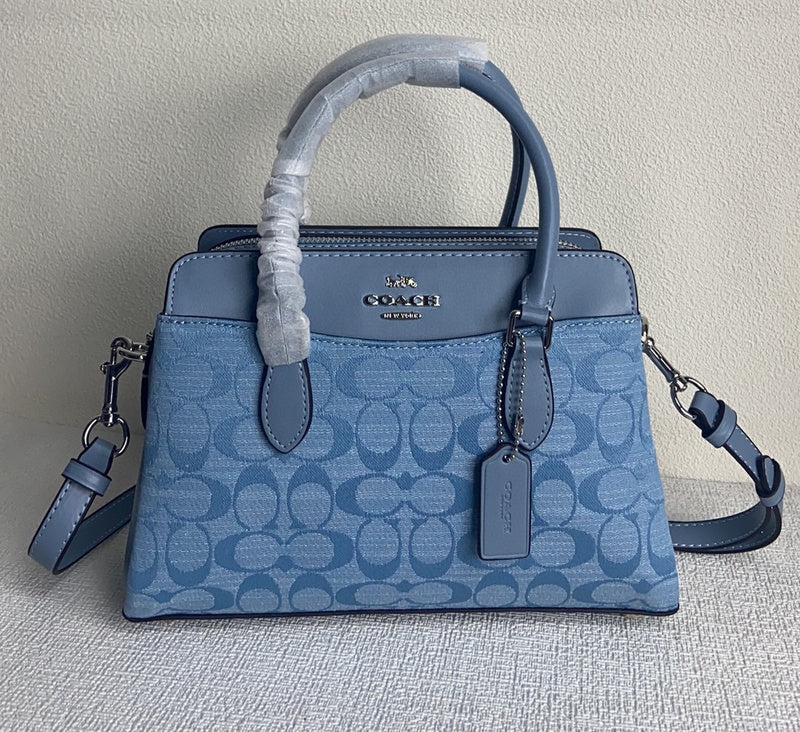 Amelia-i CAH Bags - 093