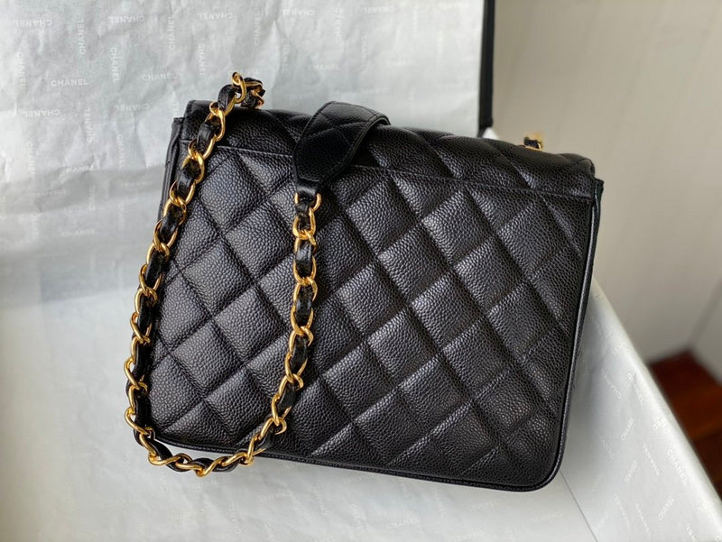 Amelia - CHL Lady Bags - 560