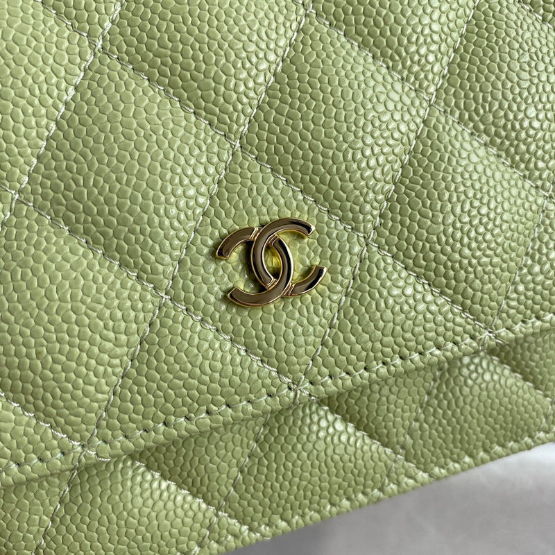 Amelia- CHL Bags - 6495