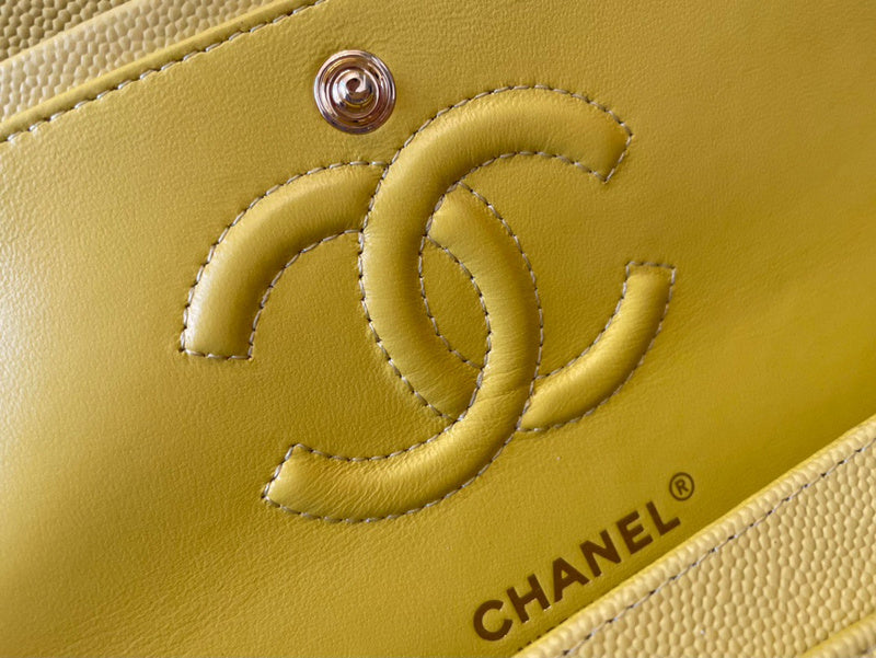 Amelia-  CHL BAGS  - 351