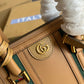 Amelia- GCI LUXURY LADY BAG - BRANDED BAGS FOR WOMEN - 439