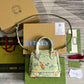 Amelia- GCI Bags - 4422