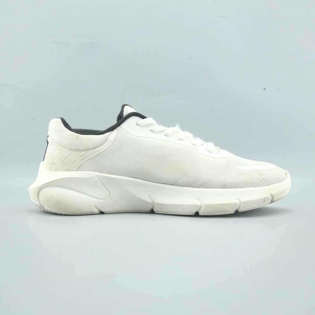 ANTA .