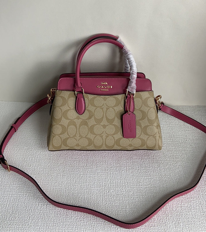 Amelia-i CAH Bags - 100