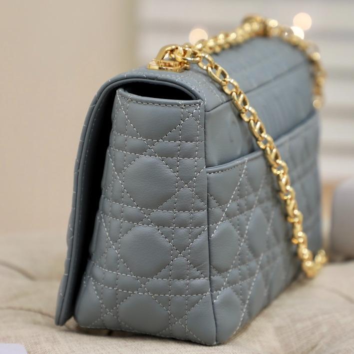 LARGE CARO BAG 28 GRAY SUPPLE CANNAGE CALFSKIN Amelia