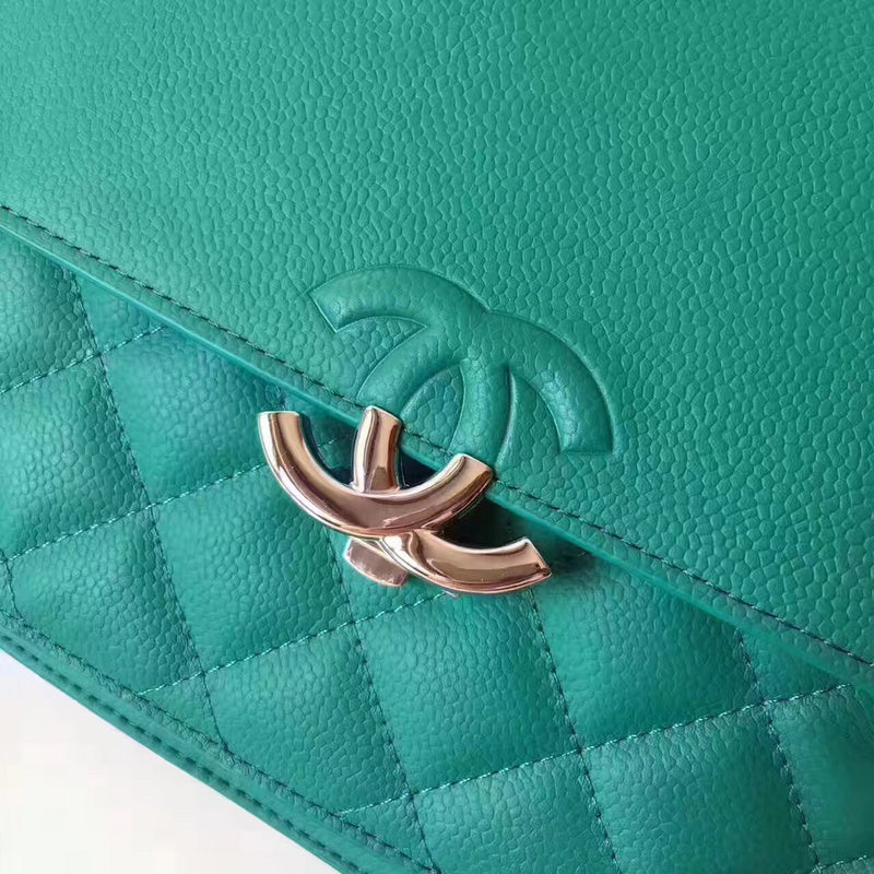 Amelia - CHL Lady Bags - 589
