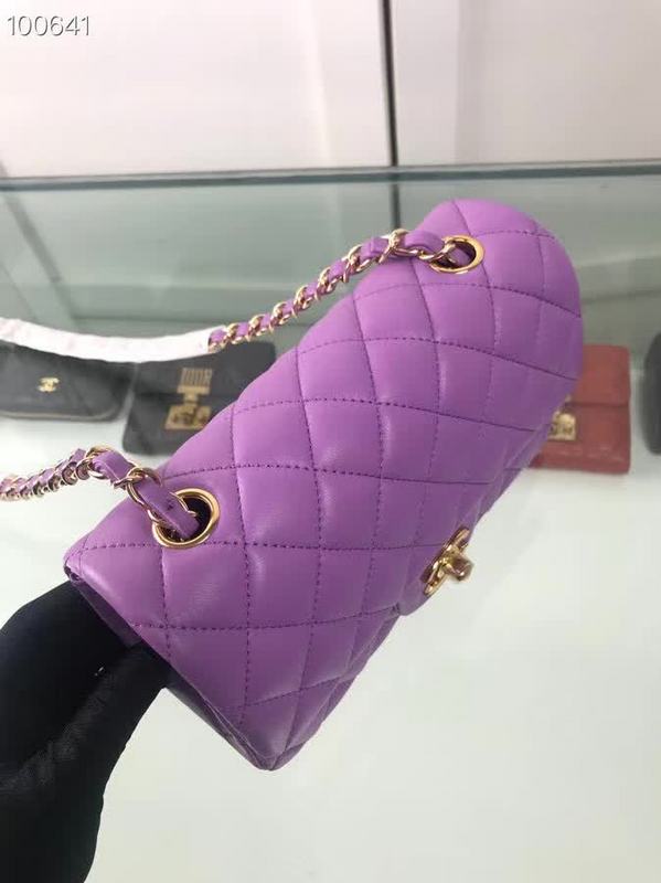 Amelia- CHL Bags - 6606