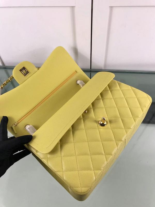Amelia- CHL Bags - 6666