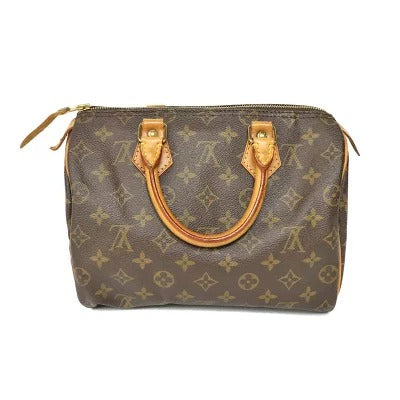 Louis Vuitton Monogram LV HandBag