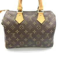 Louis Vuitton Speedy Monogram Handbag