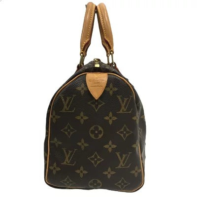Louis Vuitton Speedy Mini Monogram Speedy Handbag