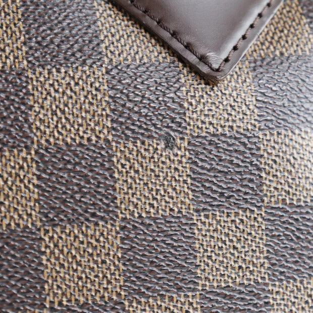Louis Vuitton Saleya PM  Damier Canvas Handbag