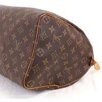 Louis Vuitton Speedy Canvas Monogram Tote Bag