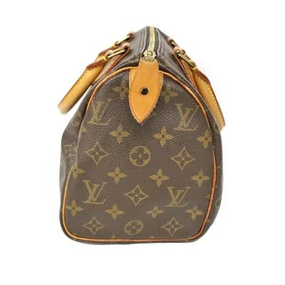 Louis Vuitton Monogram LV HandBag
