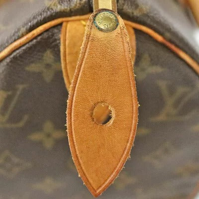 Louis Vuitton Monogram LV HandBag