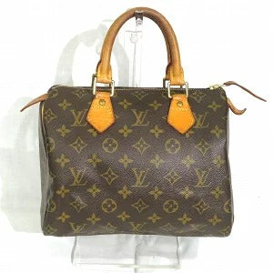 Louis Vuitton Monogram Speedy Handbag