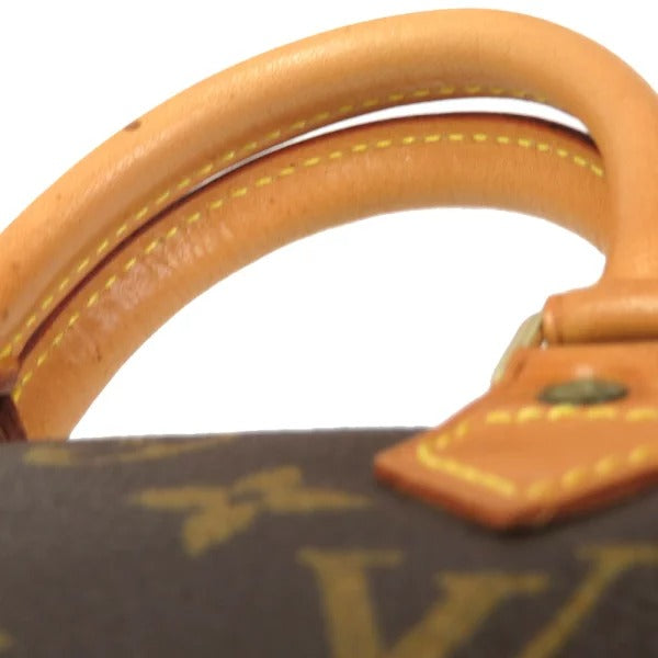 Louis Vuitton Monogram Mini Speedy Shoulder Bag