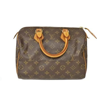 Louis Vuitton Monogram LV HandBag