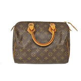 Louis Vuitton Monogram LV HandBag