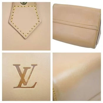 Louis Vuitton Speedy Nomad Handbag