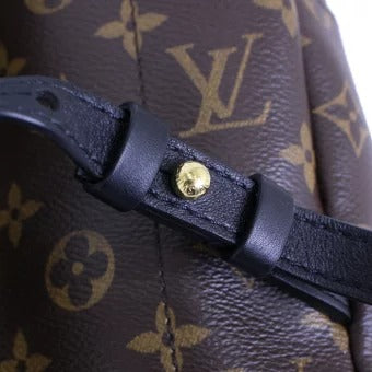 Louis Vuitton Palm Springs MM Monogram Canvas  Backpack
