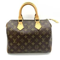 Louis Vuitton Speedy Monogram Handbag