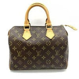 Louis Vuitton Speedy Monogram Handbag