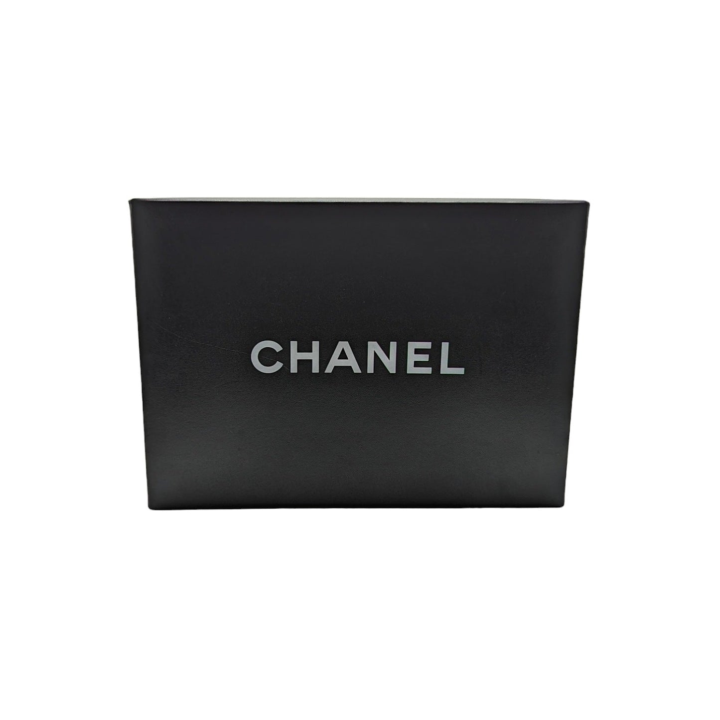 Chanel   White Python CC Chain Hobo Bag