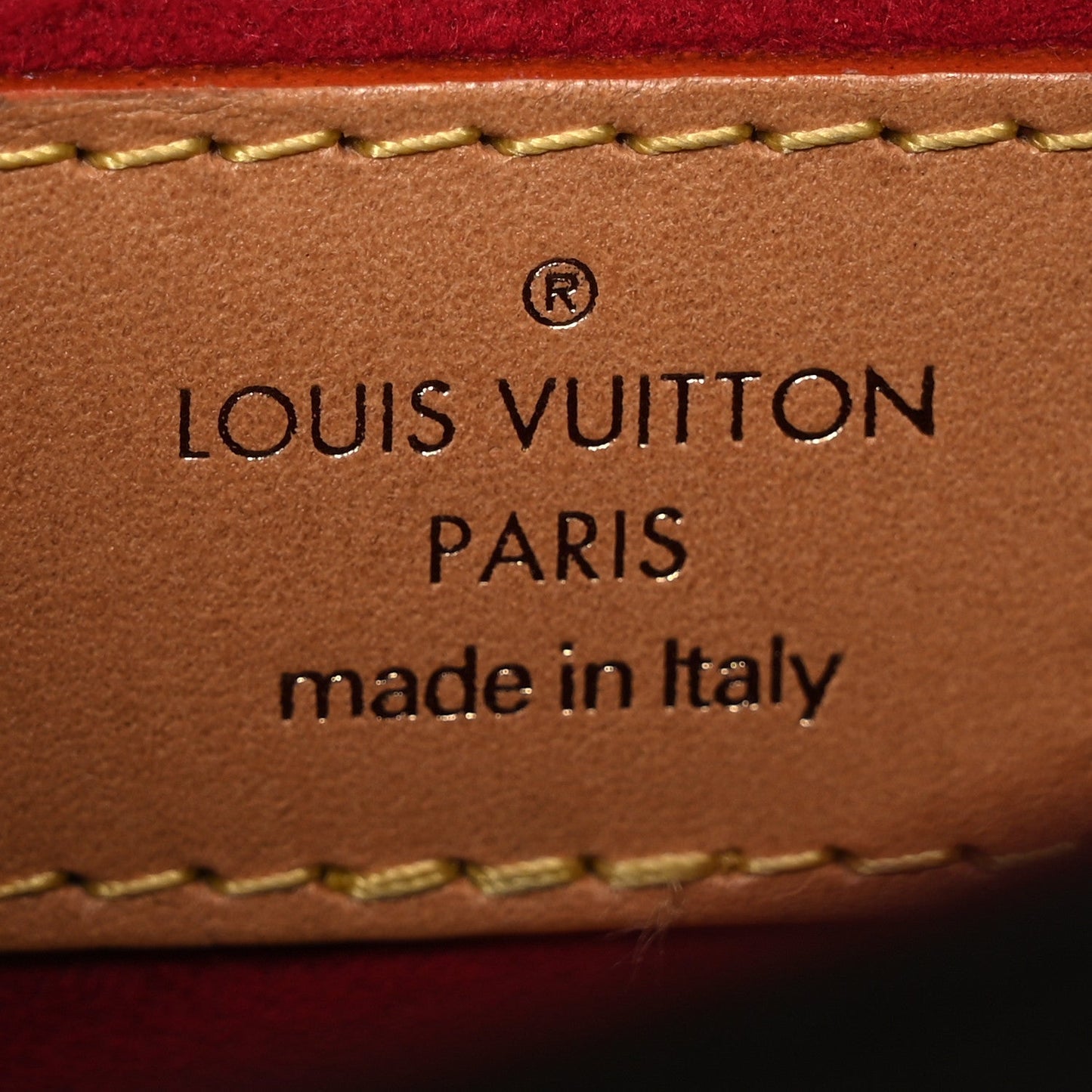 Louis Vuitton Monogram Tambourin NM