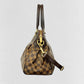 LOUIS VUITTON Trevi Brown Damier Ebene Top Handle