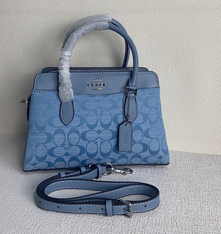 Amelia-i CAH Bags - 093