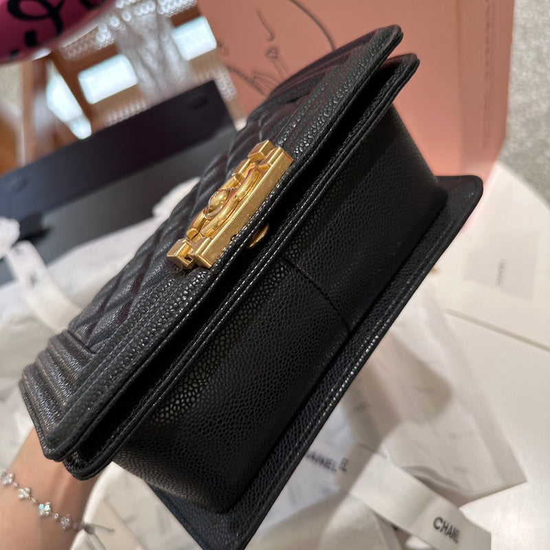 Amelia- CHL Bags - 6866