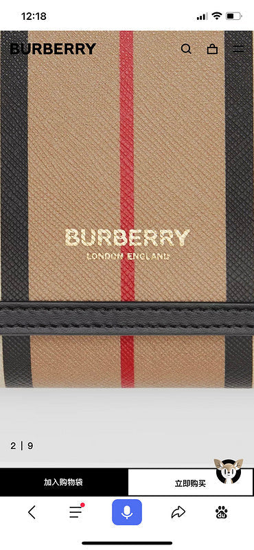 B-Berry Bags - Women Ameliave Luxury Bags - 767