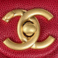 Amelia- CHL Bags - 7589