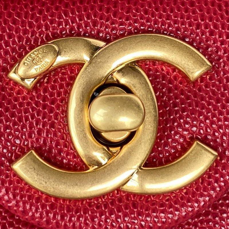 Amelia- CHL Bags - 7589