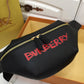 B-Berry Bags - Women Ameliave Luxury Bags - 1045
