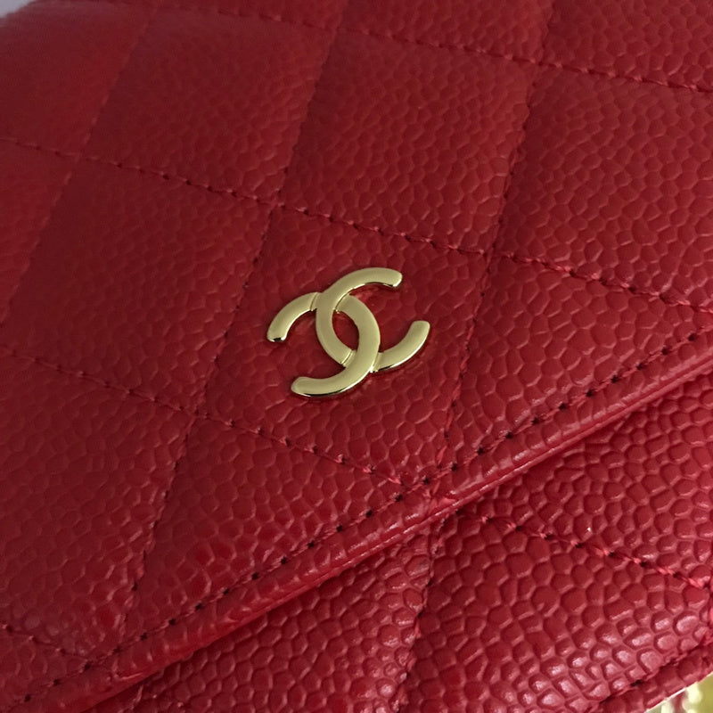 Amelia- CHL Bags - 6521
