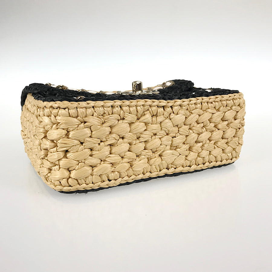 CHANEL AS4556 Shoulder bag